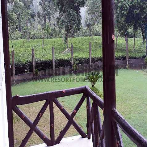 Resort Forest In Lataguri
